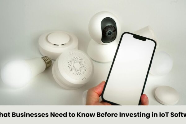 What Businesses Need to Know Before Investing in IoT Software What Businesses Need to Know Before Investing in IoT Software