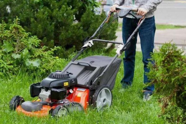 Residential & Commercial Lawn Care Services