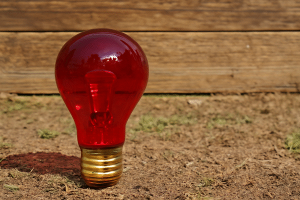 Zoo Med Nightlight Red Reptile Bulb