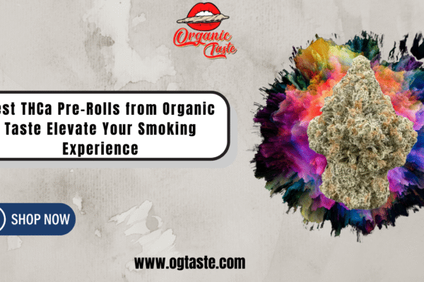 Best THCa Pre-Rolls