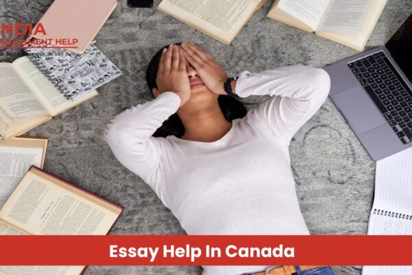 Essay Help In Canada