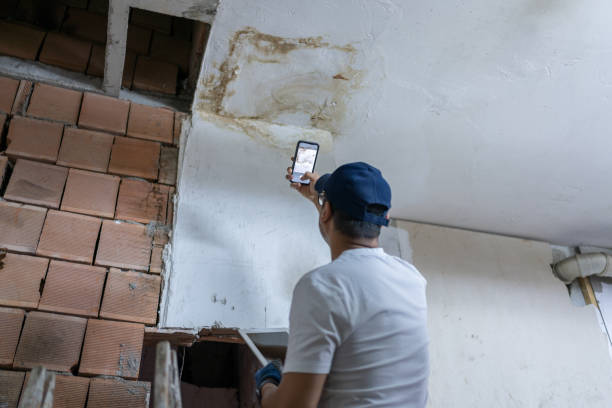 New Albany damage restoration services