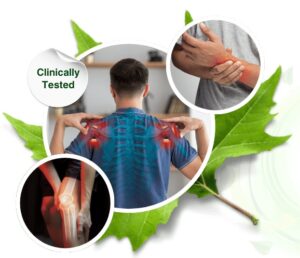 Pain Relief Cream for Fibromyalgia: Find Fast Soothing Comfort