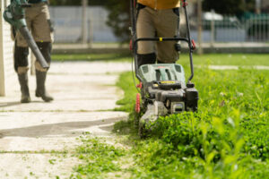 Tuscaloosa lawn care services