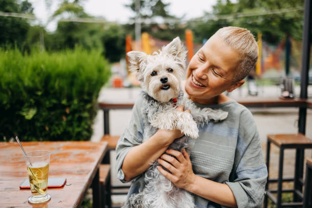 pet hair dyeing in Hesperia CA