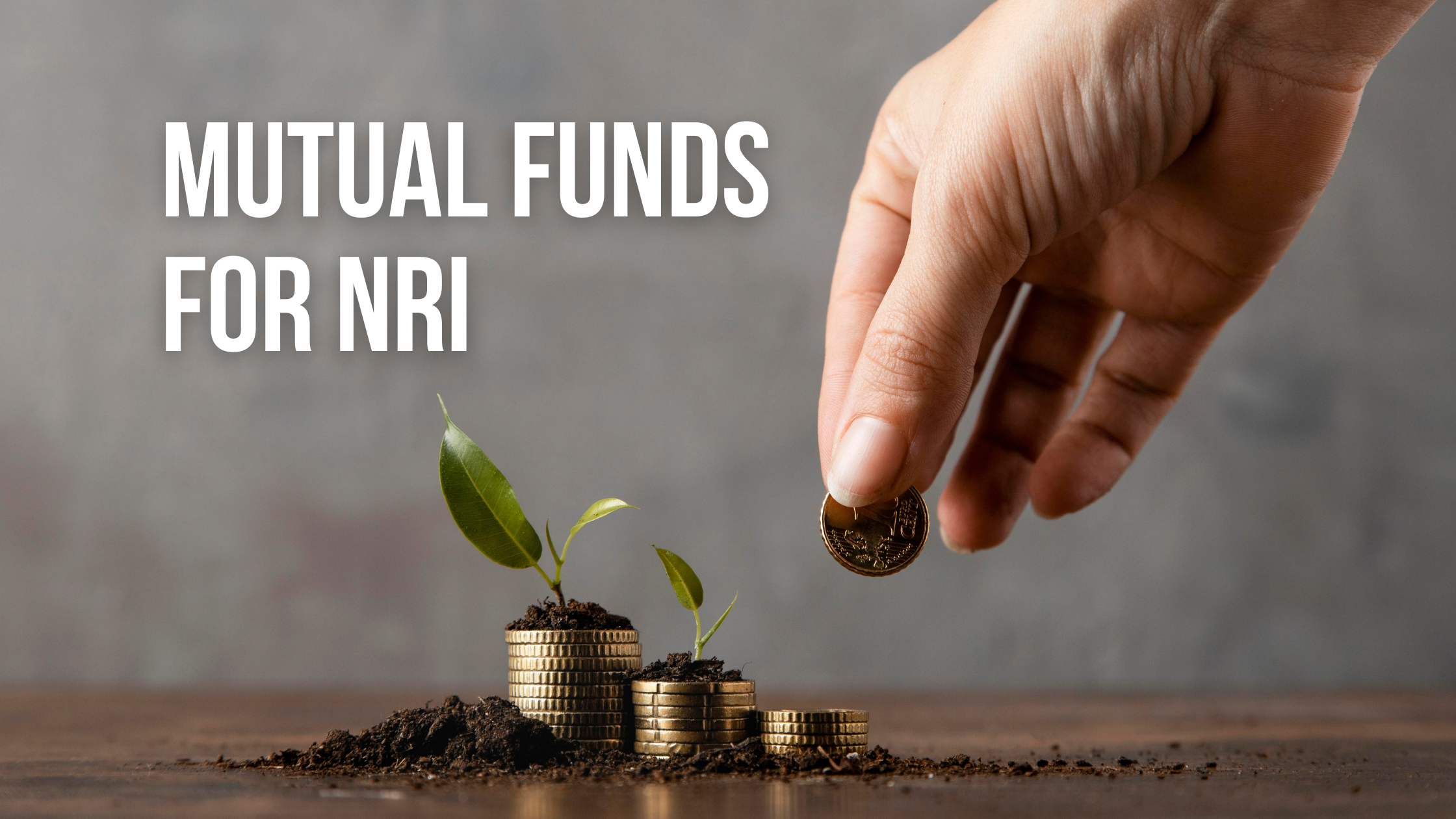 Are There Any Mutual Funds for NRI in Beawar?