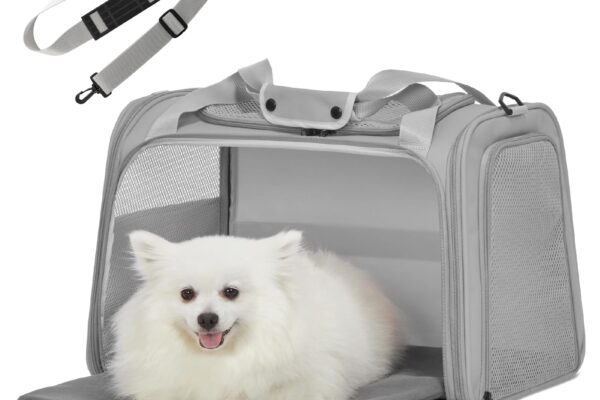 Title: Choosing the Right Small Cage for Dogs for Comfort and Safety small cage for dogs
