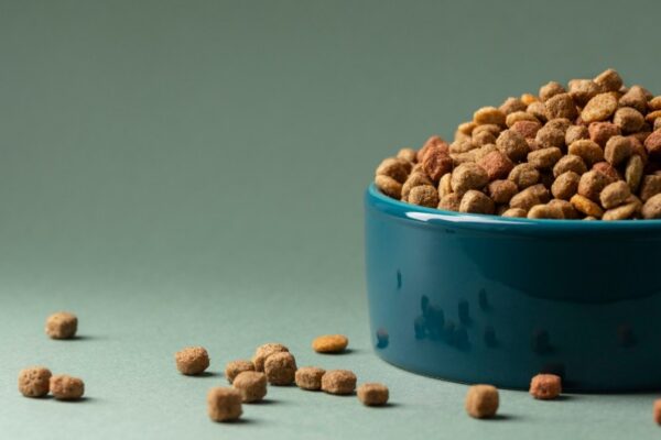 grain free dog food