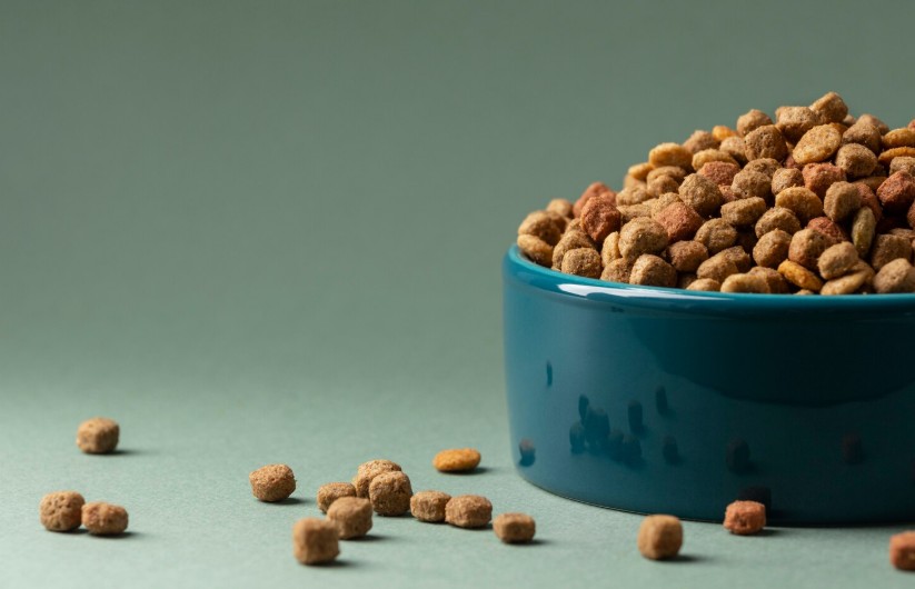 grain free dog food