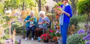 Home Care for Seniors in South Bend