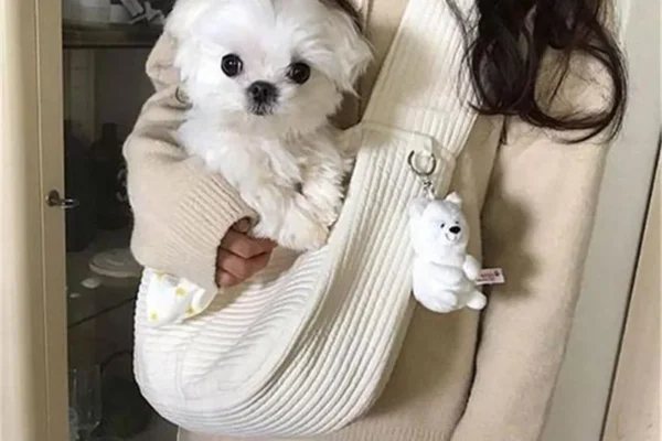 doggie carriers sling