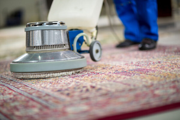 Rug Cleaning in Bulimba
