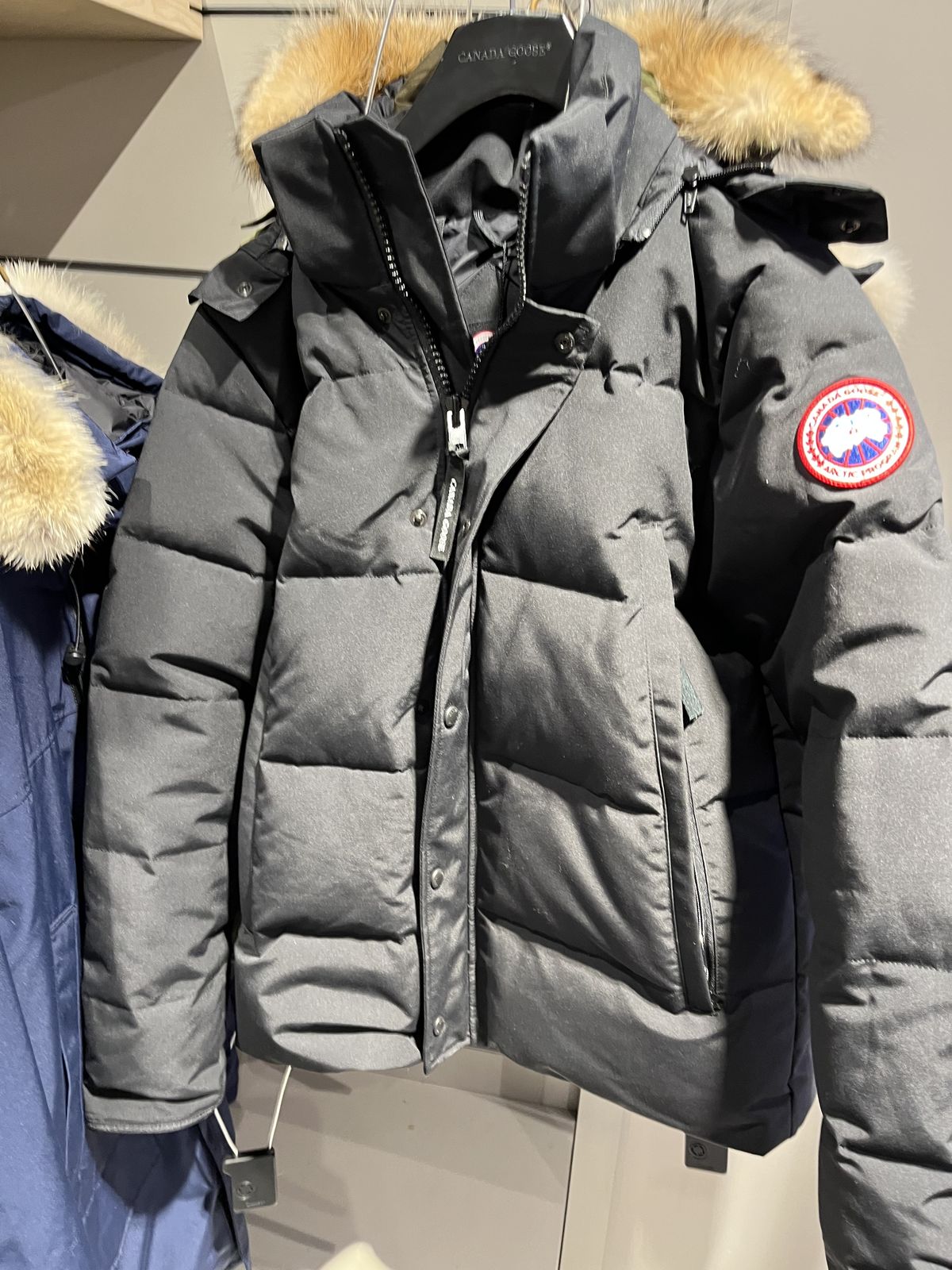 Paragoose Official Website